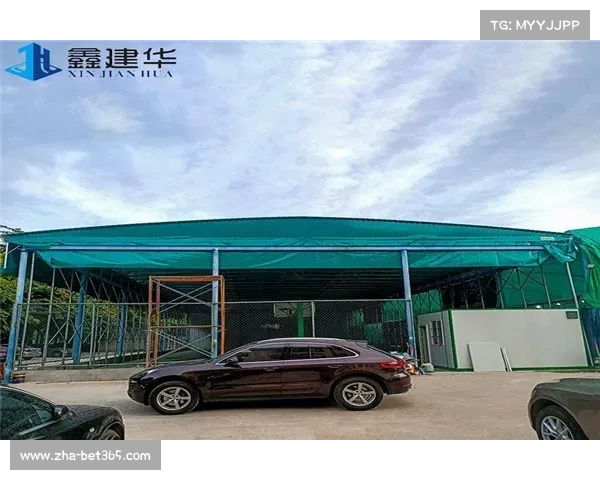 佳兆业负债高达35亿 深圳队未来命运悬于市政府态度之上 佳兆业负债高达35亿 深圳队未来命运悬于市政府态度之上